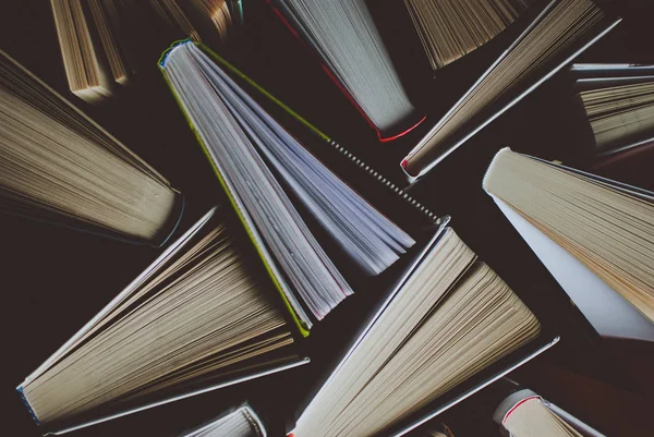 Used Books for Every Genre | Great Prices at The Blue Couch Book Shoppe