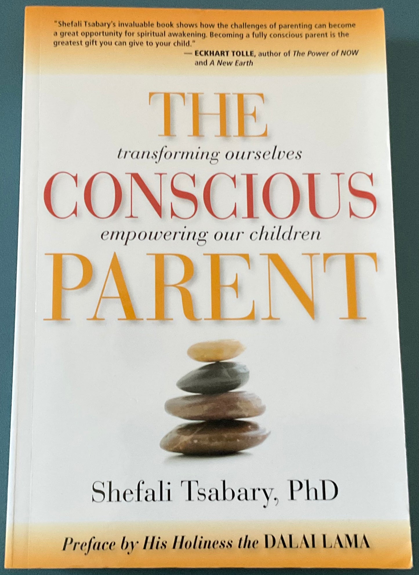 The Conscious Parent