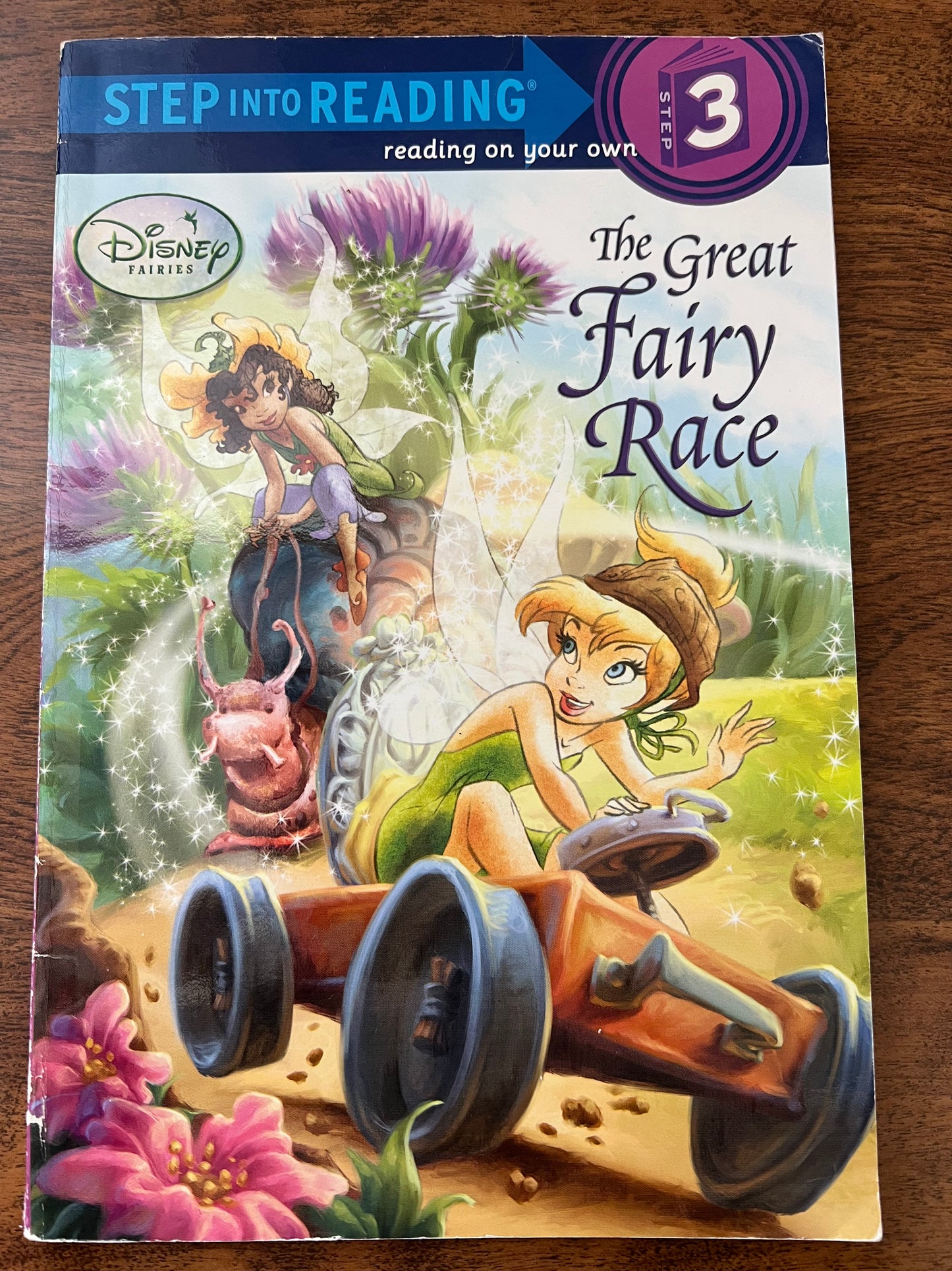 The Great Fairy Race