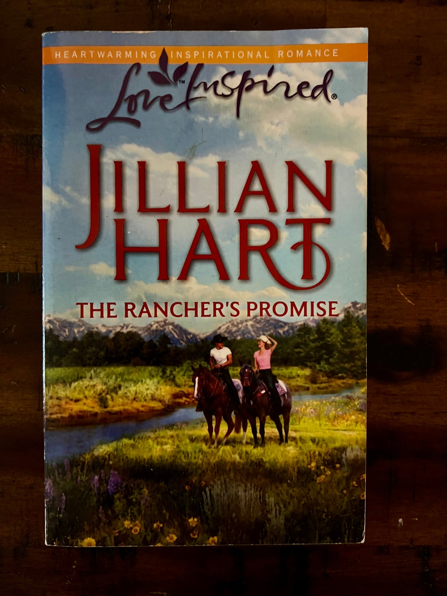 The Rancher's Promise